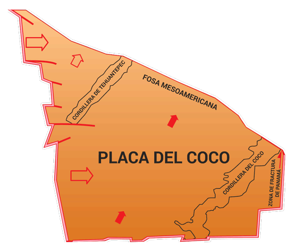 Placa de Cocos